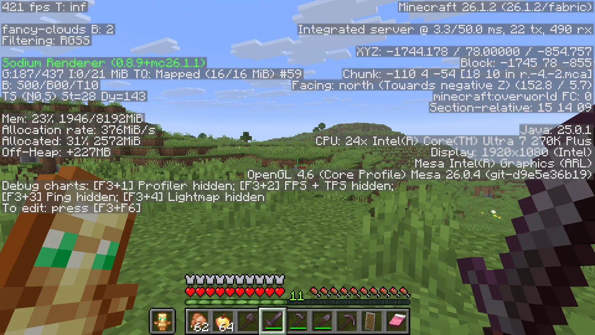 Minecraft screenshot